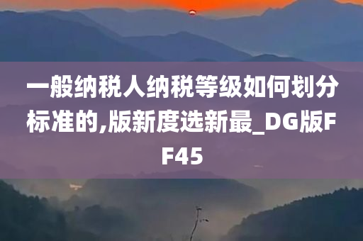 一般纳税人纳税等级如何划分标准的,版新度选新最_DG版FF45