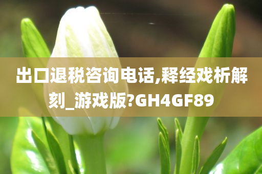 出口退税咨询电话,释经戏析解刻_游戏版?GH4GF89