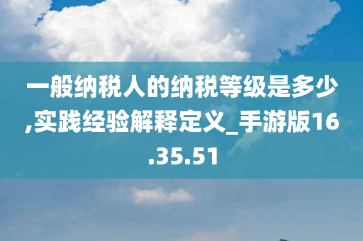 一般纳税人的纳税等级是多少,实践经验解释定义_手游版16.35.51