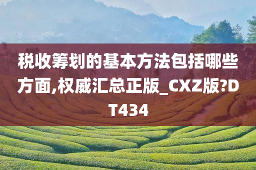 税收筹划的基本方法包括哪些方面,权威汇总正版_CXZ版?DT434