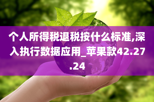 个人所得税退税按什么标准,深入执行数据应用_苹果款42.27.24