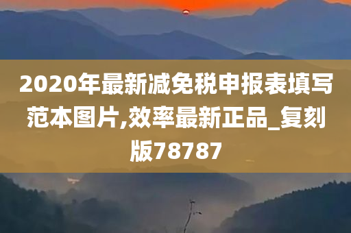 2020年最新减免税申报表填写范本图片,效率最新正品_复刻版78787