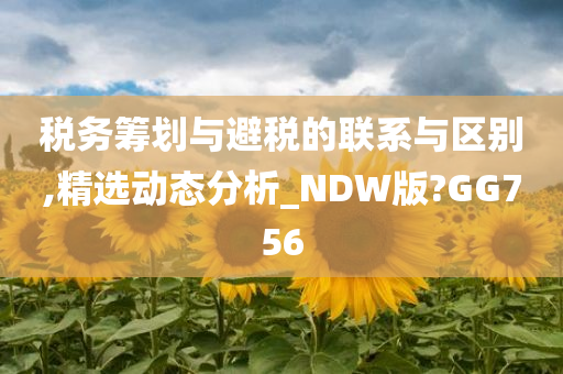 税务筹划与避税的联系与区别,精选动态分析_NDW版?GG756