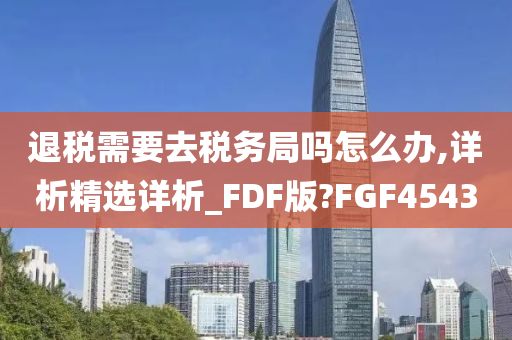 退税需要去税务局吗怎么办,详析精选详析_FDF版?FGF4543