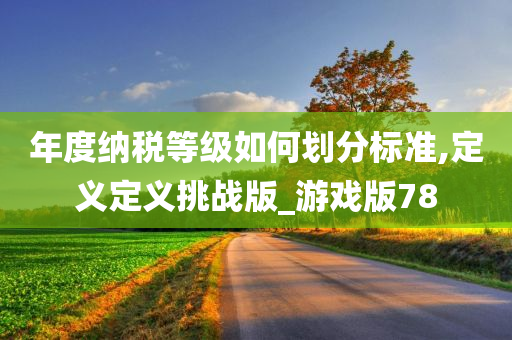 年度纳税等级如何划分标准,定义定义挑战版_游戏版78