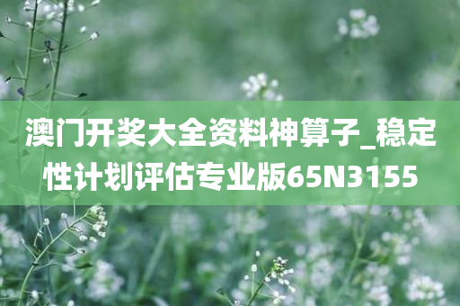 澳门开奖大全资料神算子_稳定性计划评估专业版65N3155