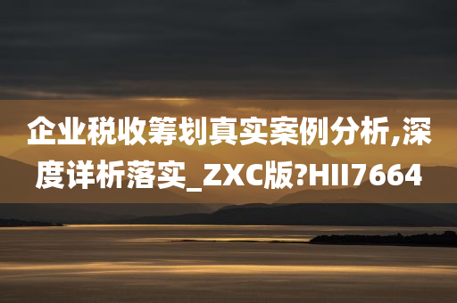 企业税收筹划真实案例分析,深度详析落实_ZXC版?HII7664