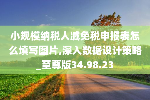 小规模纳税人减免税申报表怎么填写图片,深入数据设计策略_至尊版34.98.23