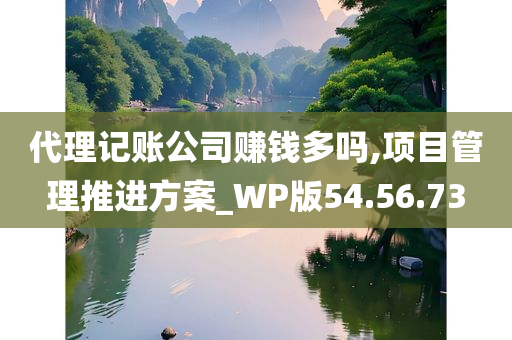 代理记账公司赚钱多吗,项目管理推进方案_WP版54.56.73