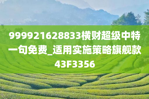 999921628833横财超级中特一句免费_适用实施策略旗舰款43F3356