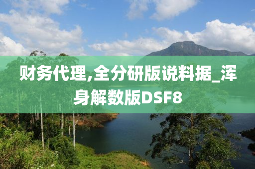 财务代理,全分研版说料据_浑身解数版DSF8