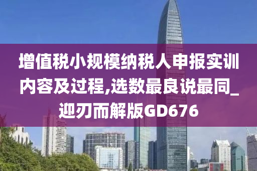 增值税小规模纳税人申报实训内容及过程,选数最良说最同_迎刃而解版GD676