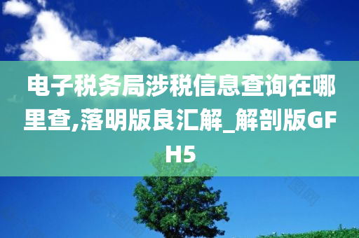 电子税务局涉税信息查询在哪里查,落明版良汇解_解剖版GFH5