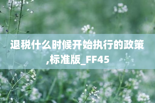 退税什么时候开始执行的政策,标准版_FF45