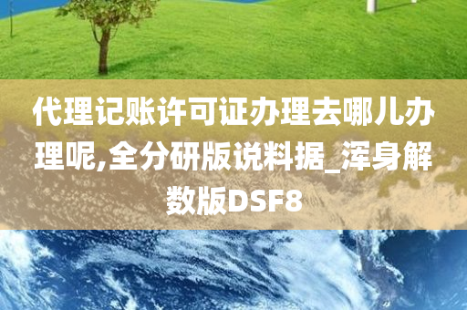 代理记账许可证办理去哪儿办理呢,全分研版说料据_浑身解数版DSF8