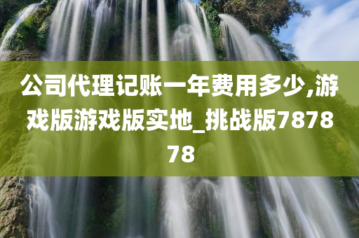 公司代理记账一年费用多少,游戏版游戏版实地_挑战版787878