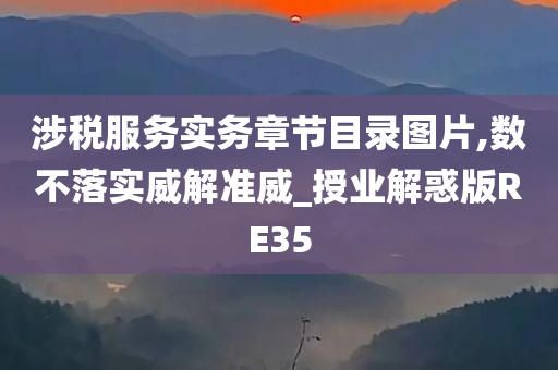 涉税服务实务章节目录图片,数不落实威解准威_授业解惑版RE35