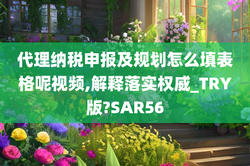 代理纳税申报及规划怎么填表格呢视频,解释落实权威_TRY版?SAR56