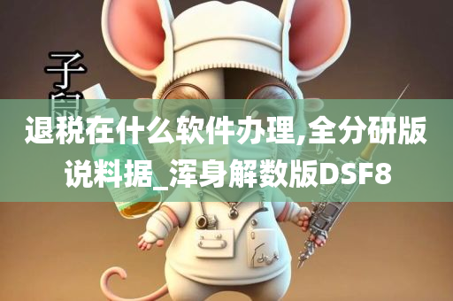 退税在什么软件办理,全分研版说料据_浑身解数版DSF8