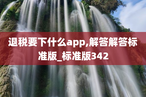 退税要下什么app,解答解答标准版_标准版342