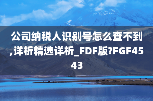 公司纳税人识别号怎么查不到,详析精选详析_FDF版?FGF4543