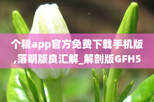 个税app官方免费下载手机版,落明版良汇解_解剖版GFH5