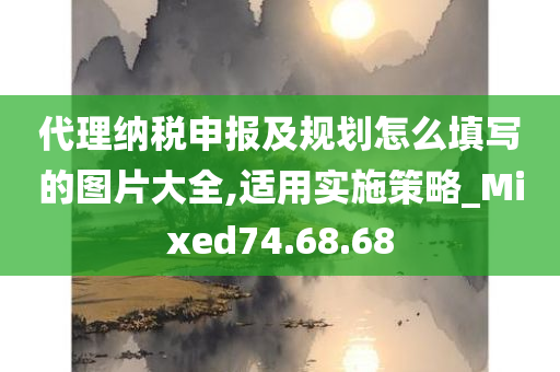 代理纳税申报及规划怎么填写的图片大全,适用实施策略_Mixed74.68.68