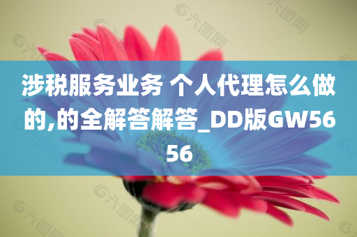 涉税服务业务 个人代理怎么做的,的全解答解答_DD版GW5656