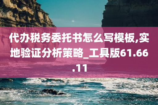 代办税务委托书怎么写模板,实地验证分析策略_工具版61.66.11