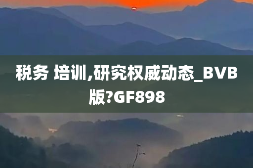 税务 培训,研究权威动态_BVB版?GF898