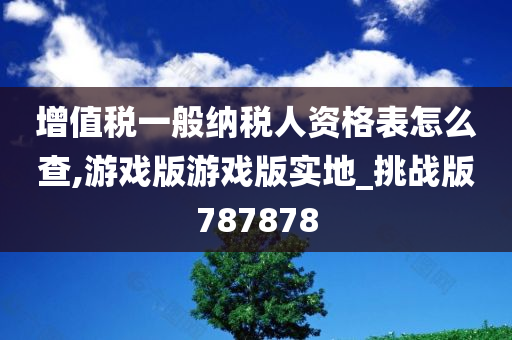 增值税一般纳税人资格表怎么查,游戏版游戏版实地_挑战版787878