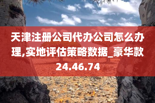 天津注册公司代办公司怎么办理,实地评估策略数据_豪华款24.46.74