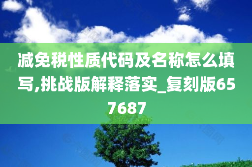 减免税性质代码及名称怎么填写,挑战版解释落实_复刻版657687