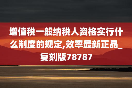 增值税一般纳税人资格实行什么制度的规定,效率最新正品_复刻版78787