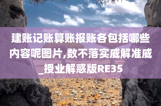 建账记账算账报账各包括哪些内容呢图片,数不落实威解准威_授业解惑版RE35