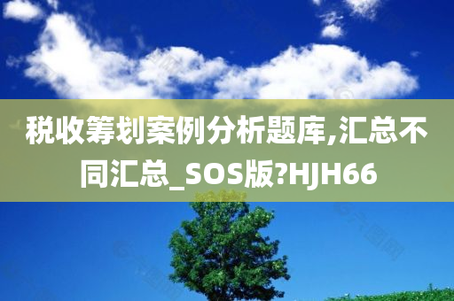 税收筹划案例分析题库,汇总不同汇总_SOS版?HJH66