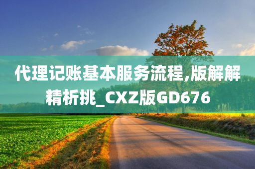 代理记账基本服务流程,版解解精析挑_CXZ版GD676