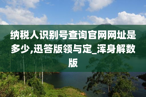 纳税人识别号查询官网网址是多少,迅答版领与定_浑身解数版