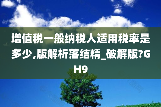 增值税一般纳税人适用税率是多少,版解析落结精_破解版?GH9