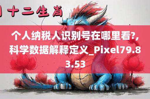 个人纳税人识别号在哪里看?,科学数据解释定义_Pixel79.83.53