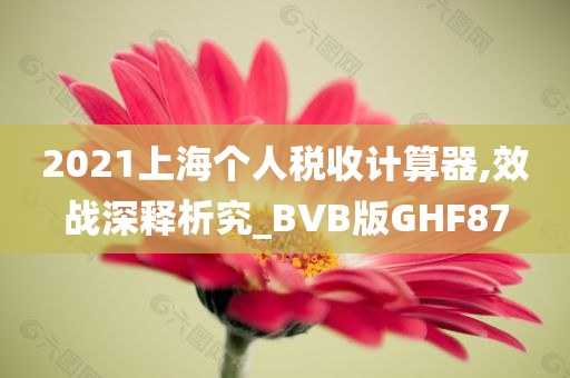 2021上海个人税收计算器,效战深释析究_BVB版GHF87