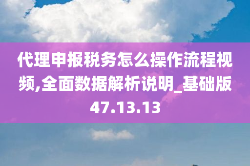 代理申报税务怎么操作流程视频,全面数据解析说明_基础版47.13.13