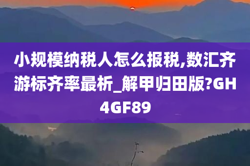 小规模纳税人怎么报税,数汇齐游标齐率最析_解甲归田版?GH4GF89