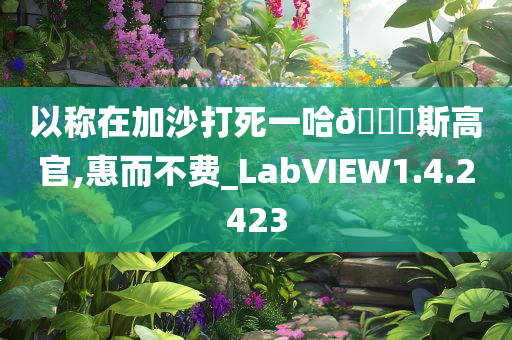 以称在加沙打死一哈🐎斯高官,惠而不费_LabVIEW1.4.2423