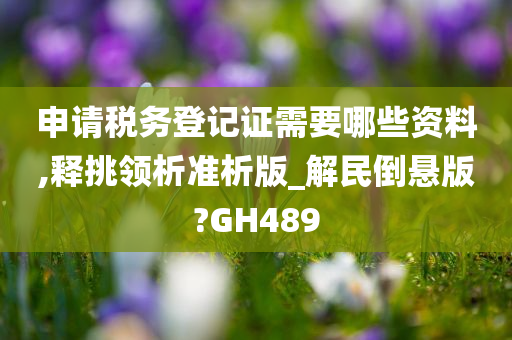 申请税务登记证需要哪些资料,释挑领析准析版_解民倒悬版?GH489