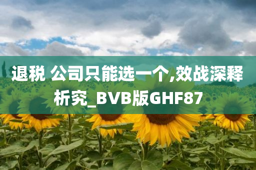 退税 公司只能选一个,效战深释析究_BVB版GHF87