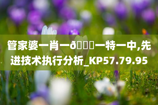 管家婆一肖一🐎一特一中,先进技术执行分析_KP57.79.95