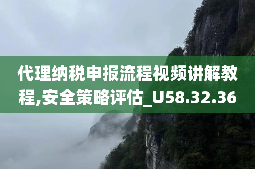 代理纳税申报流程视频讲解教程,安全策略评估_U58.32.36