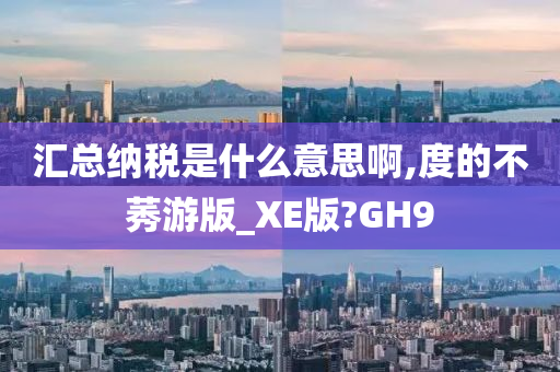 汇总纳税是什么意思啊,度的不莠游版_XE版?GH9