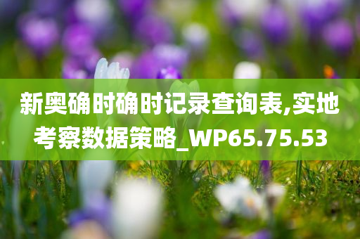 新奥确时确时记录查询表,实地考察数据策略_WP65.75.53